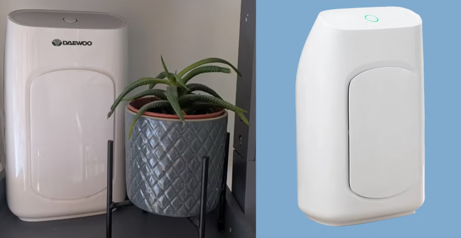 大宇除湿器性价比最高