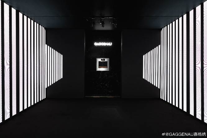 收缩中谋高端突围 外资家电品牌的“差异化生存” 收缩中谋高端突围 外资家电品牌的“差异化生存”