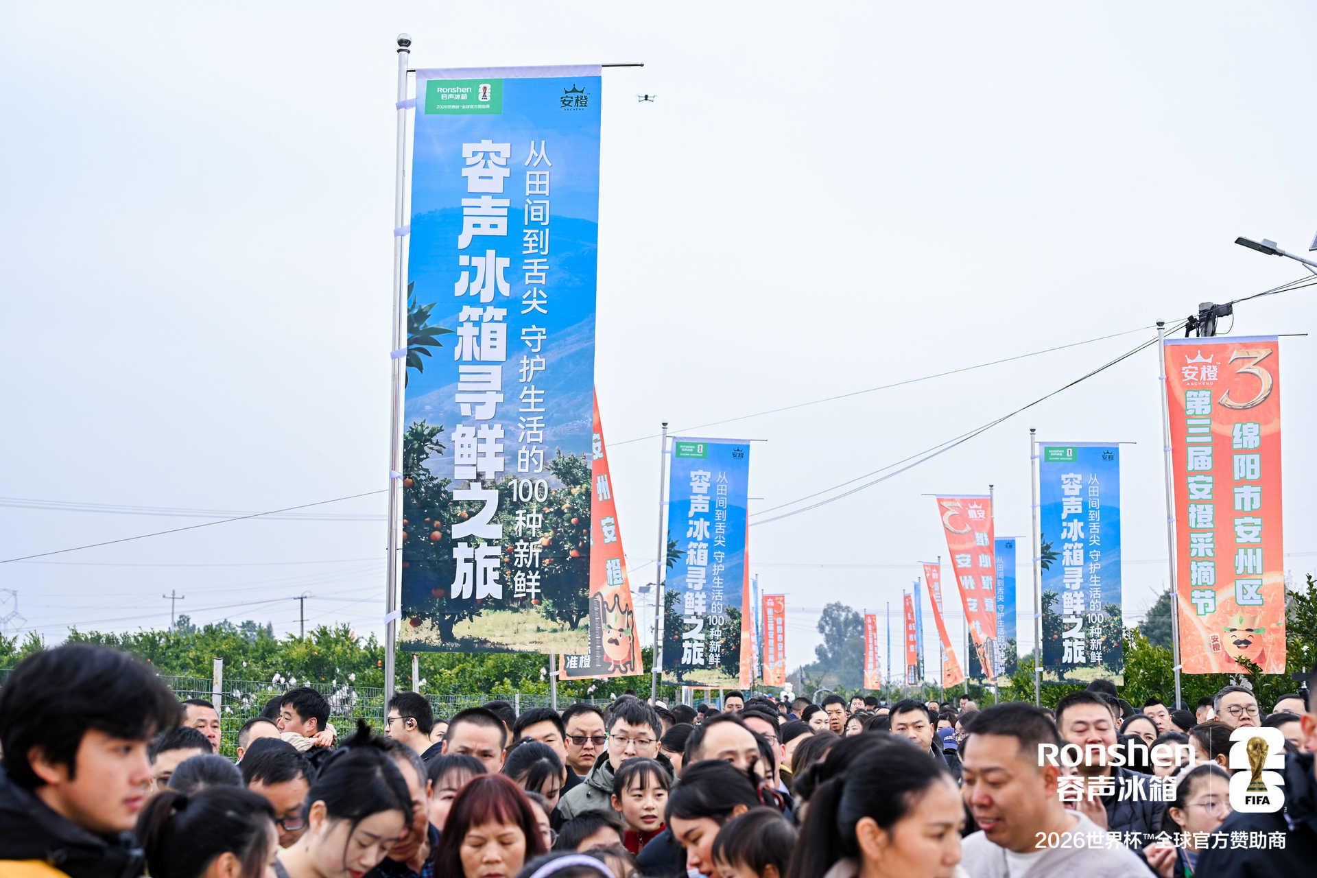 从枝头到舌尖:容声冰箱助力“安橙”鲜活直达黄金风味 从枝头到舌尖:容声冰箱助力“安橙”鲜活直达黄金风味