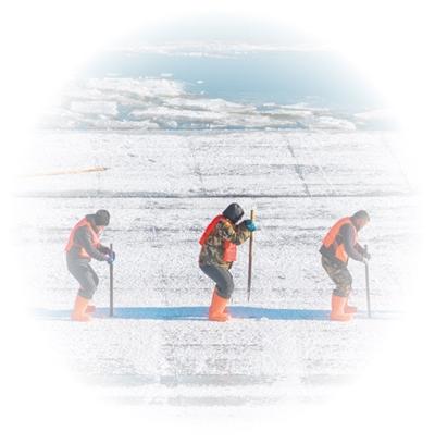 2025,这些“经济”持续成长壮大 2025,这些“经济”持续成长壮大