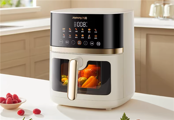 2025年空气炸锅表现怎么样？