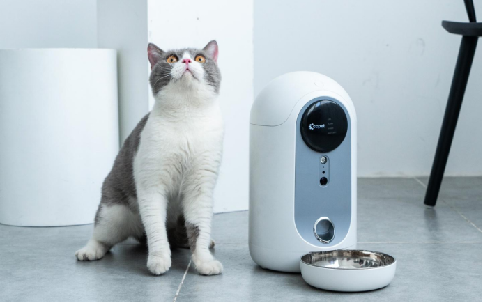 AI养宠潮，千元“智商税”与难以衡量的情绪价值